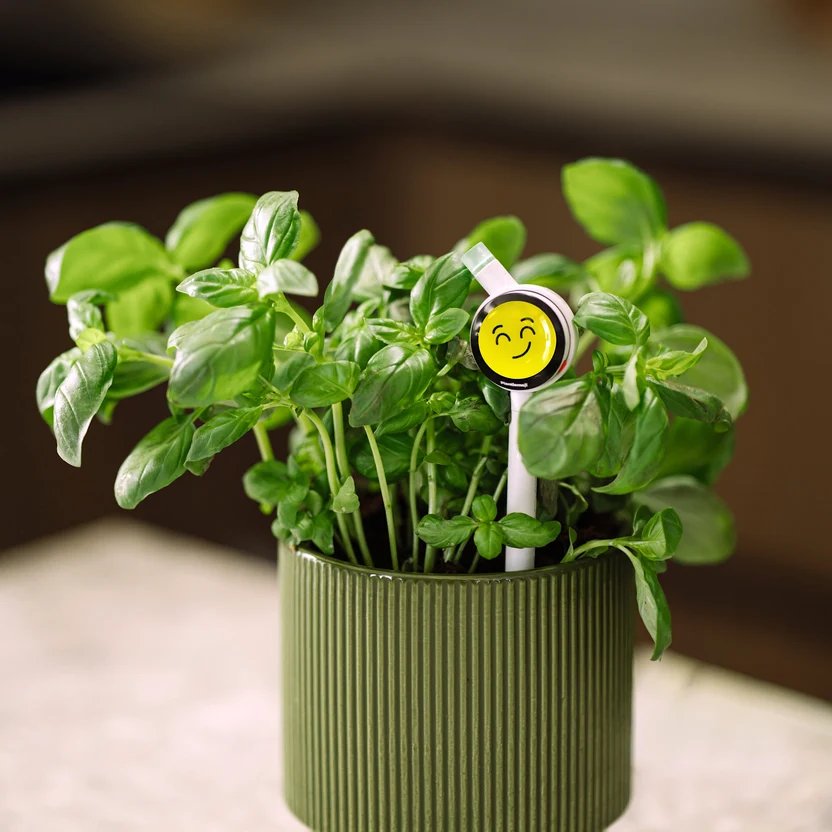 Plantiemoji device